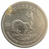 1 ONZA DE PLATA KRUGERRAND 2023
