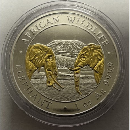 ONZA DE PLATA ELEFANTE AFRICANO WILDLIFE 2020