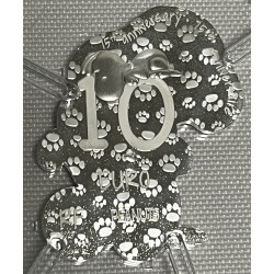 Francia 2025 Snoopy Moneda 10 Euro Plata