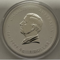 Australia 2025 Año Lunar de la Serpiente Moneda de Plata